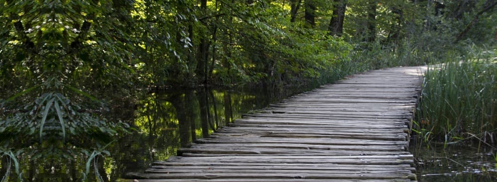 How Couples Therapy Supports Healing