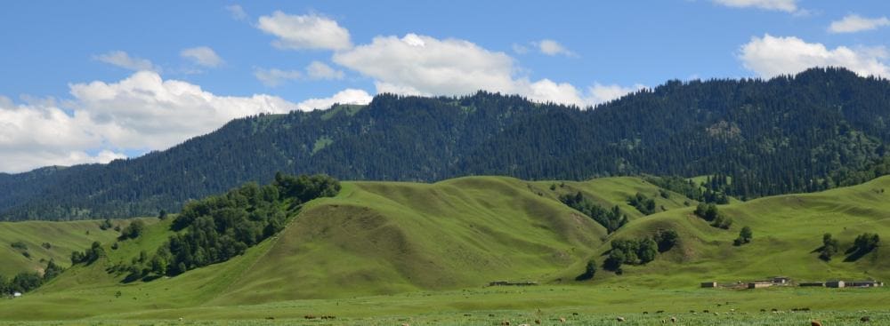 How to Choose the Right Relationship Psychologist