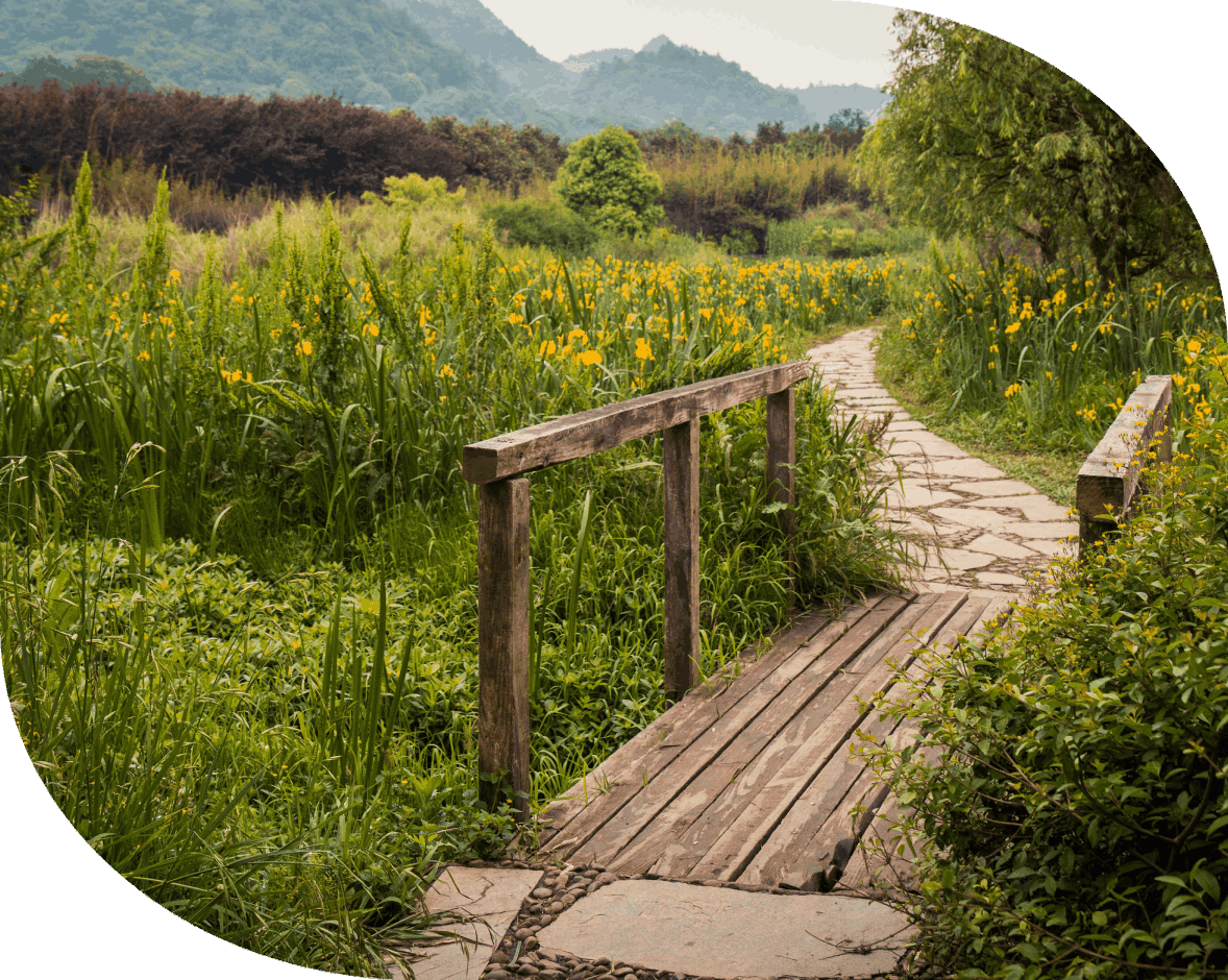 In-Person and Online Counseling Options