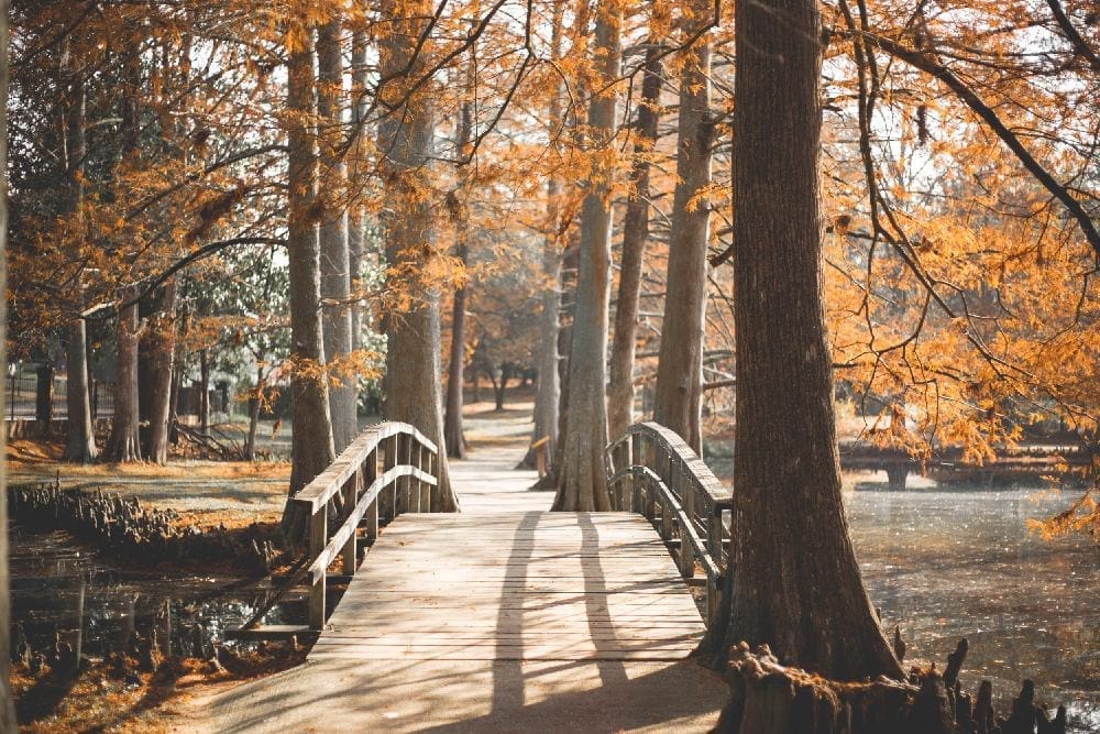 Marital Relationship Counseling in Michigan