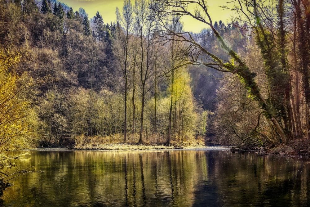 Marriage Relationship Counseling in Michigan