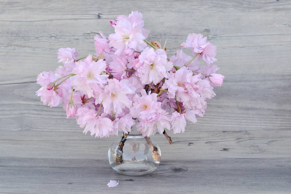 Marriage and Relationship Counseling in Michigan