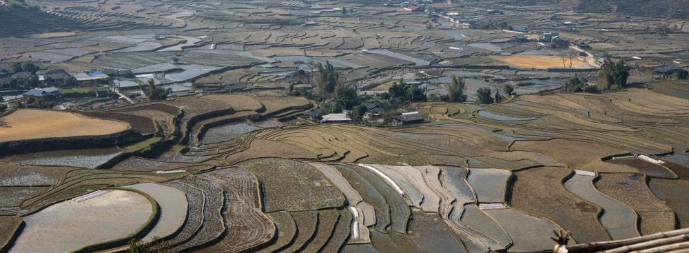 Relationship Psychologist vs Couples Therapist