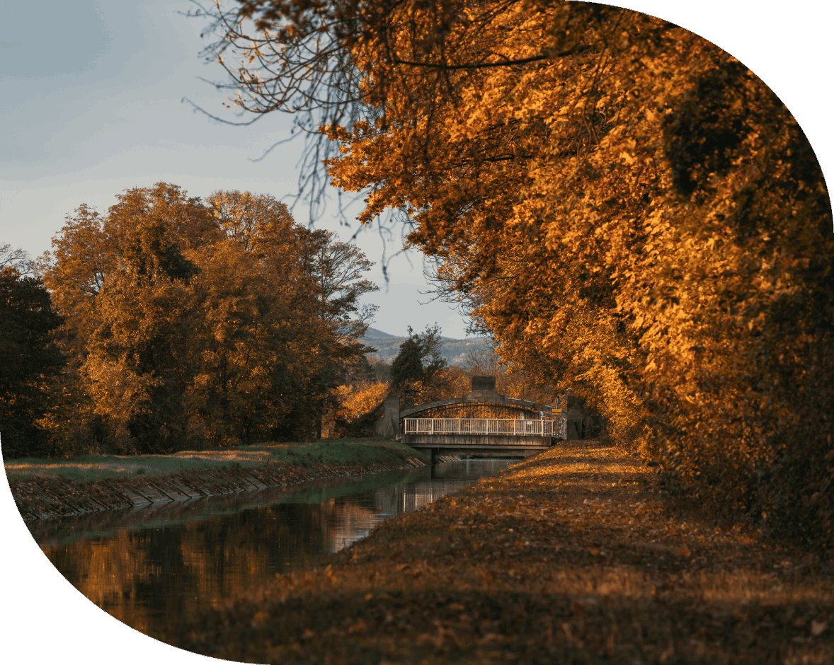 What Is Marital Relationship Counseling?