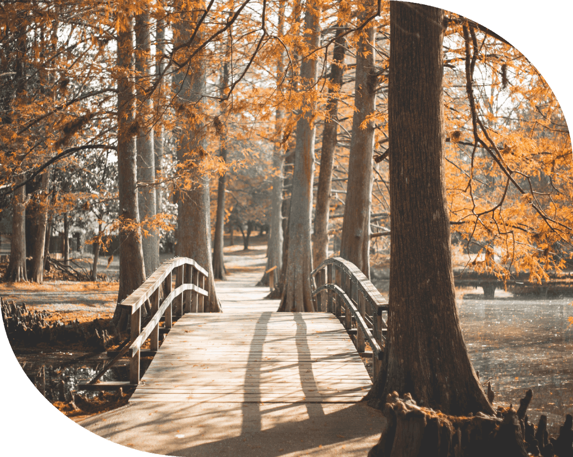 What Is Marriage Relationship Counseling?