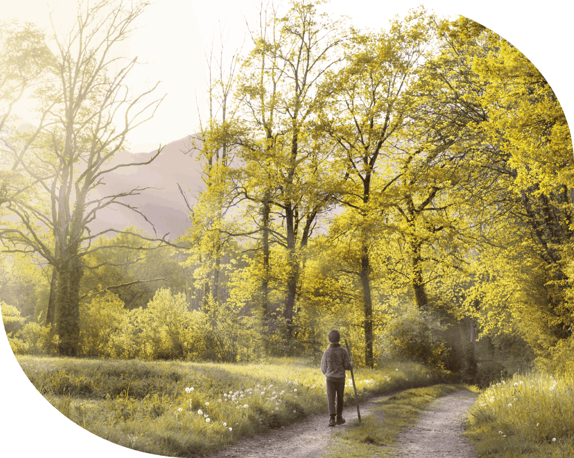 What to Expect in Counseling Sessions