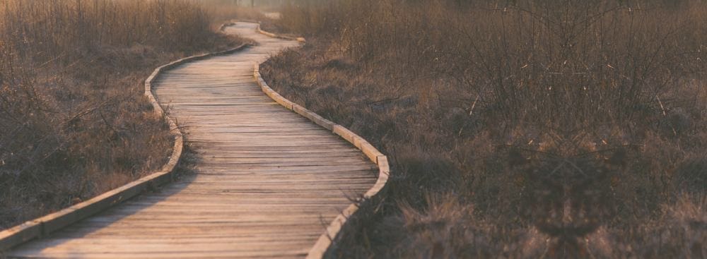 What to Expect in Couples Therapy