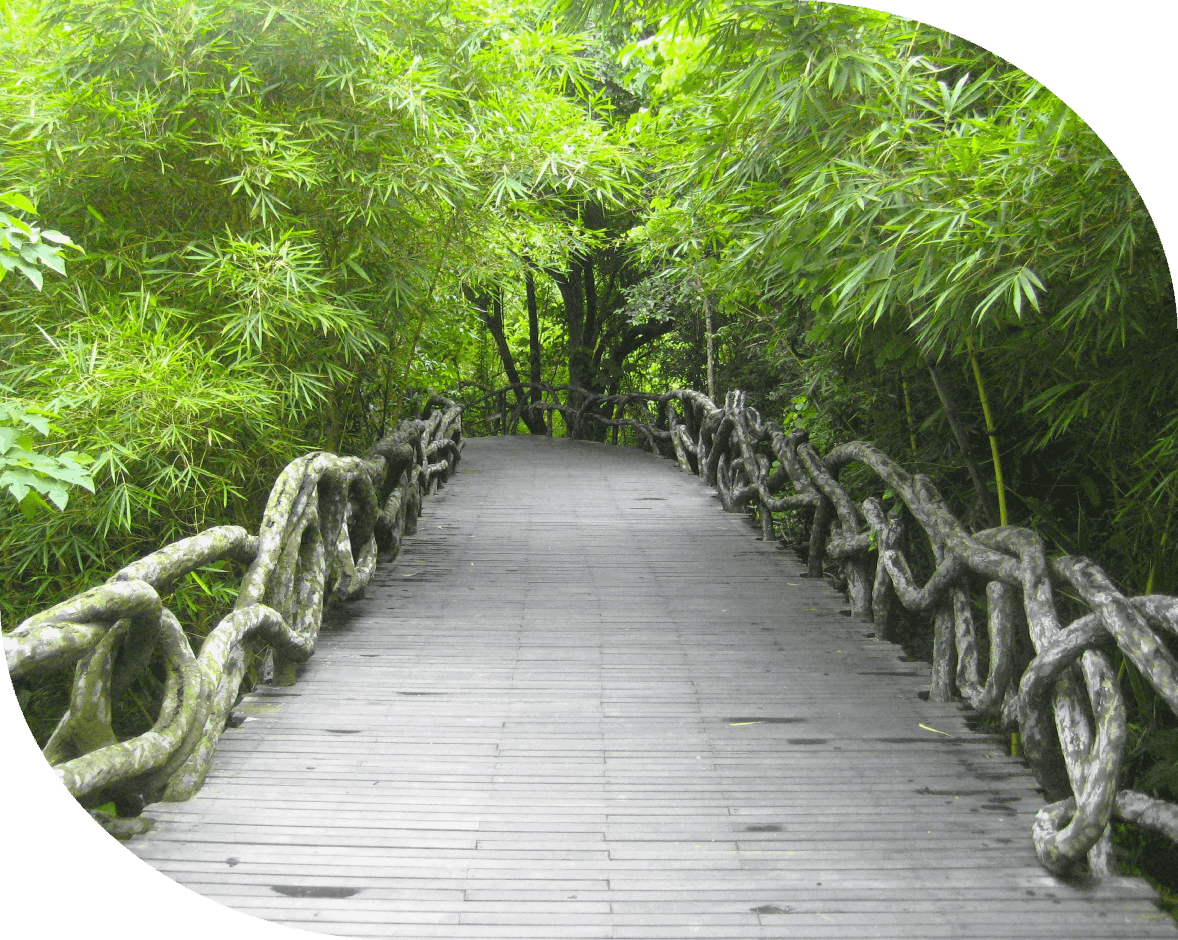 What to Expect in Your First Session