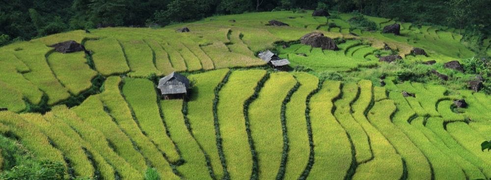 What to Expect in an Online Therapy Session