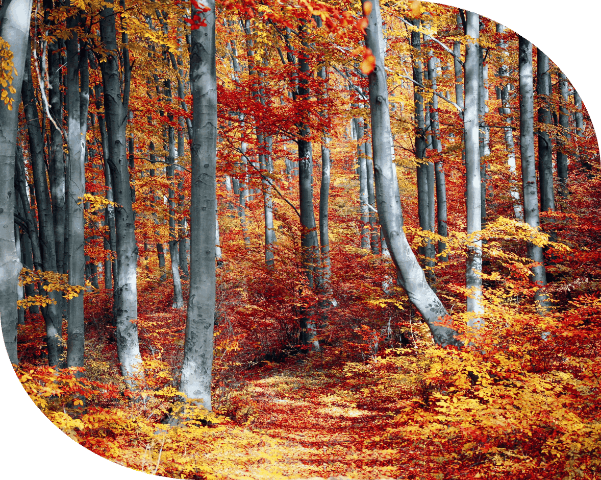 Who Can Benefit from Marital Relationship Counseling?