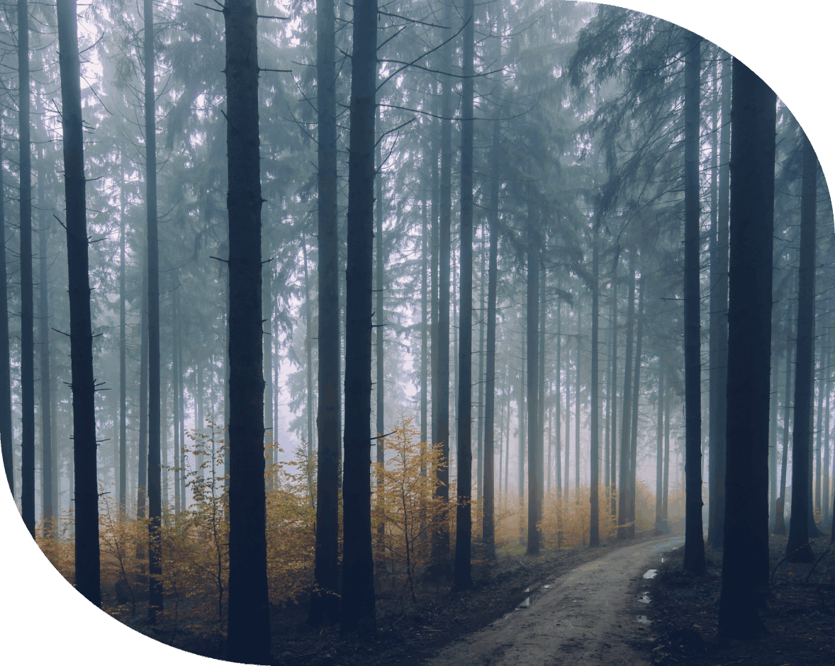 Who Can Benefit from Marriage Relationship Counseling?