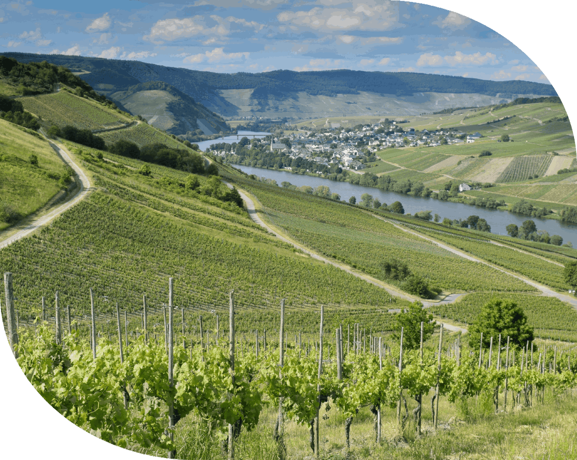 Why Choose Relationship Academy of MI?