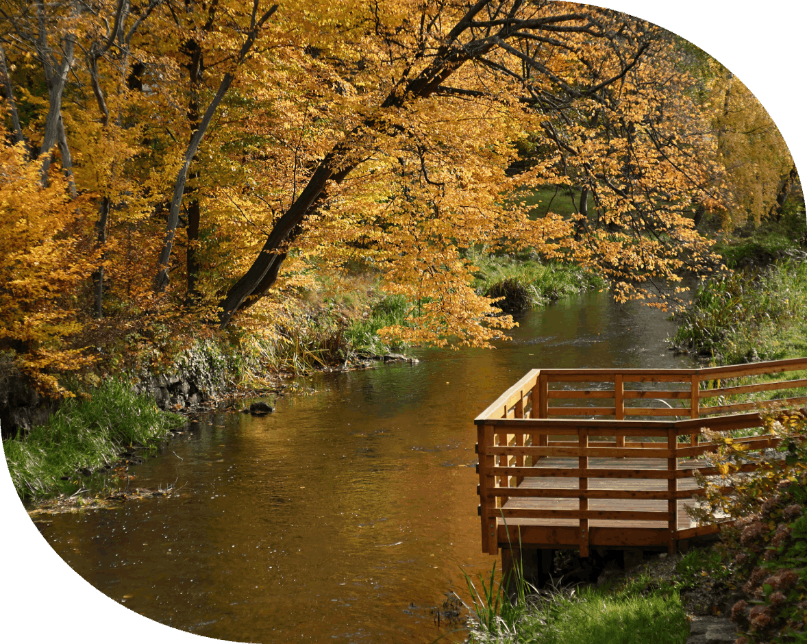 Why Choose Relationship Academy of MI?