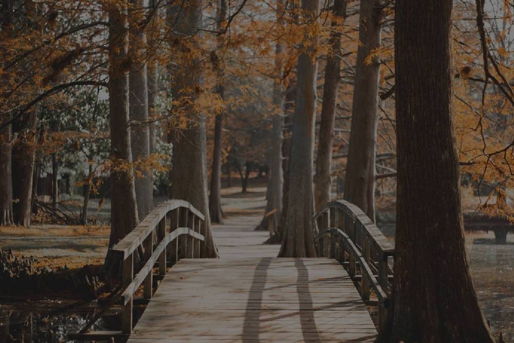 Couples Therapy in Royal Oak, MI