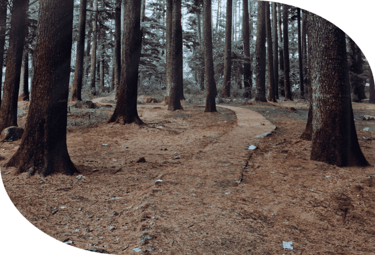 Peaceful setting used during ketamine-assisted psychotherapy sessions for trauma and depression treatment