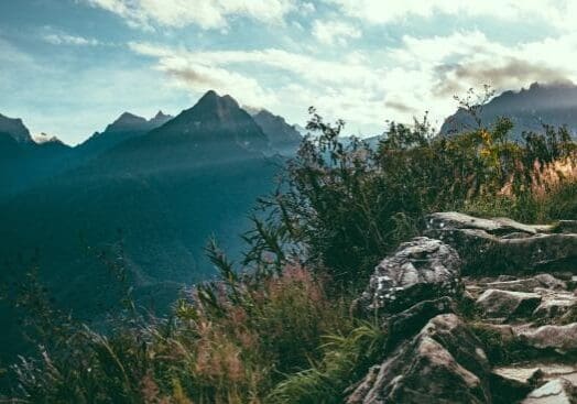 How to Know When You Need Couples Therapy